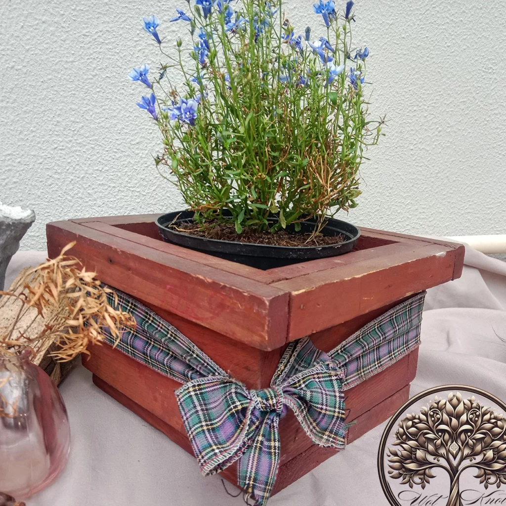 Wooden Planter Box