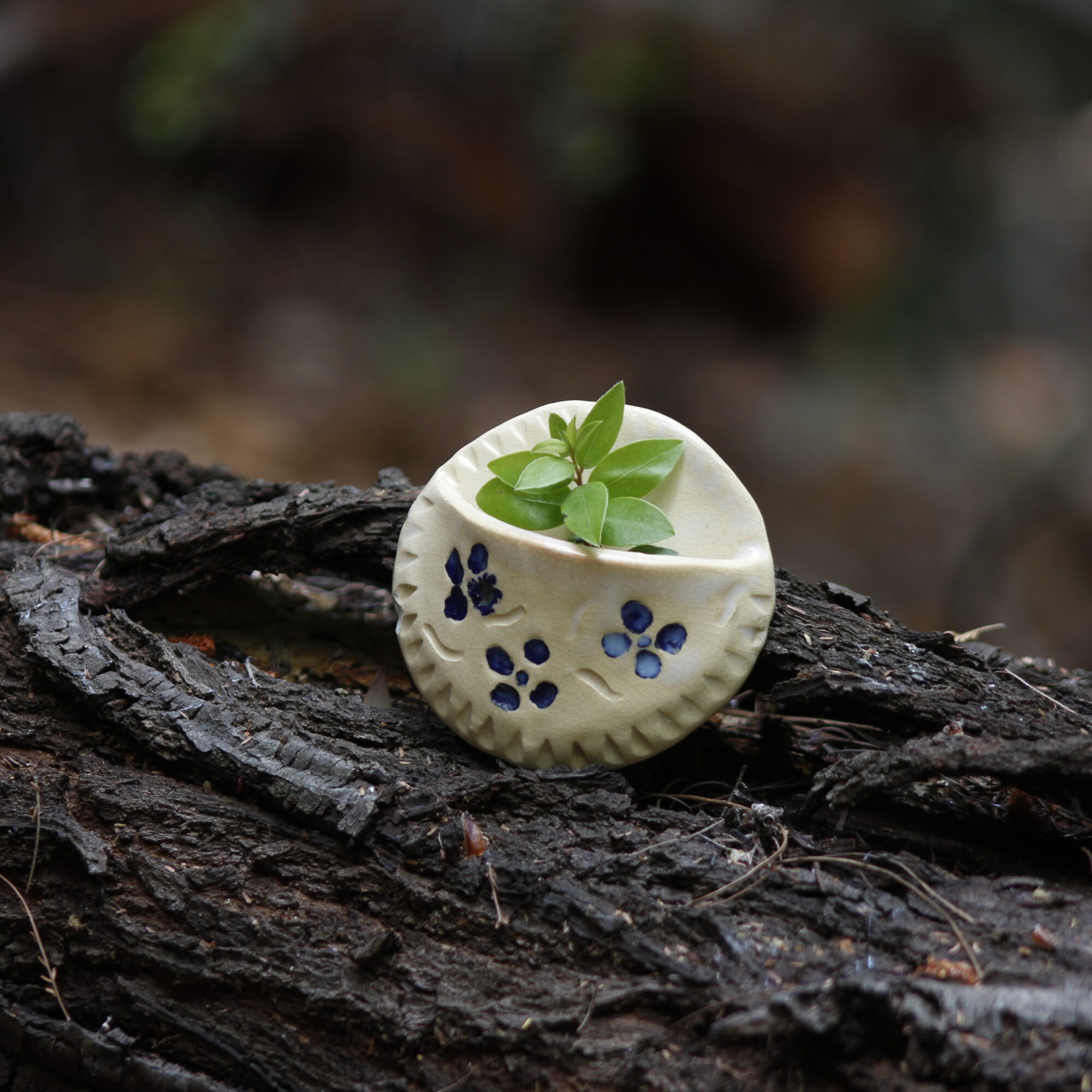 Pocket holder ceramic