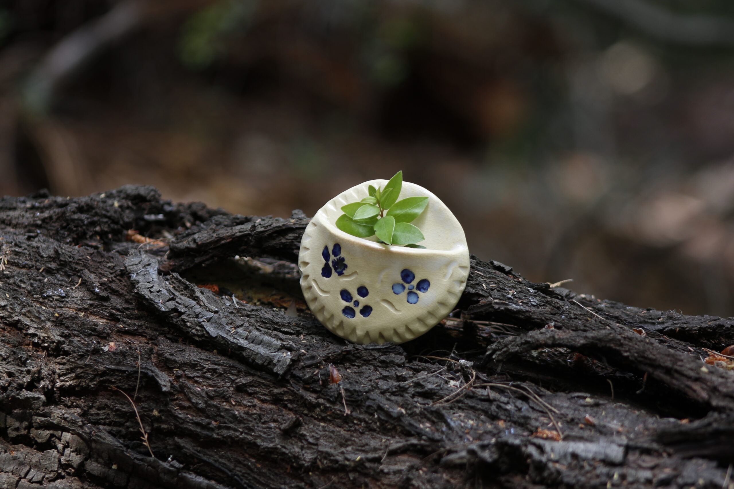 Pocket holder ceramic