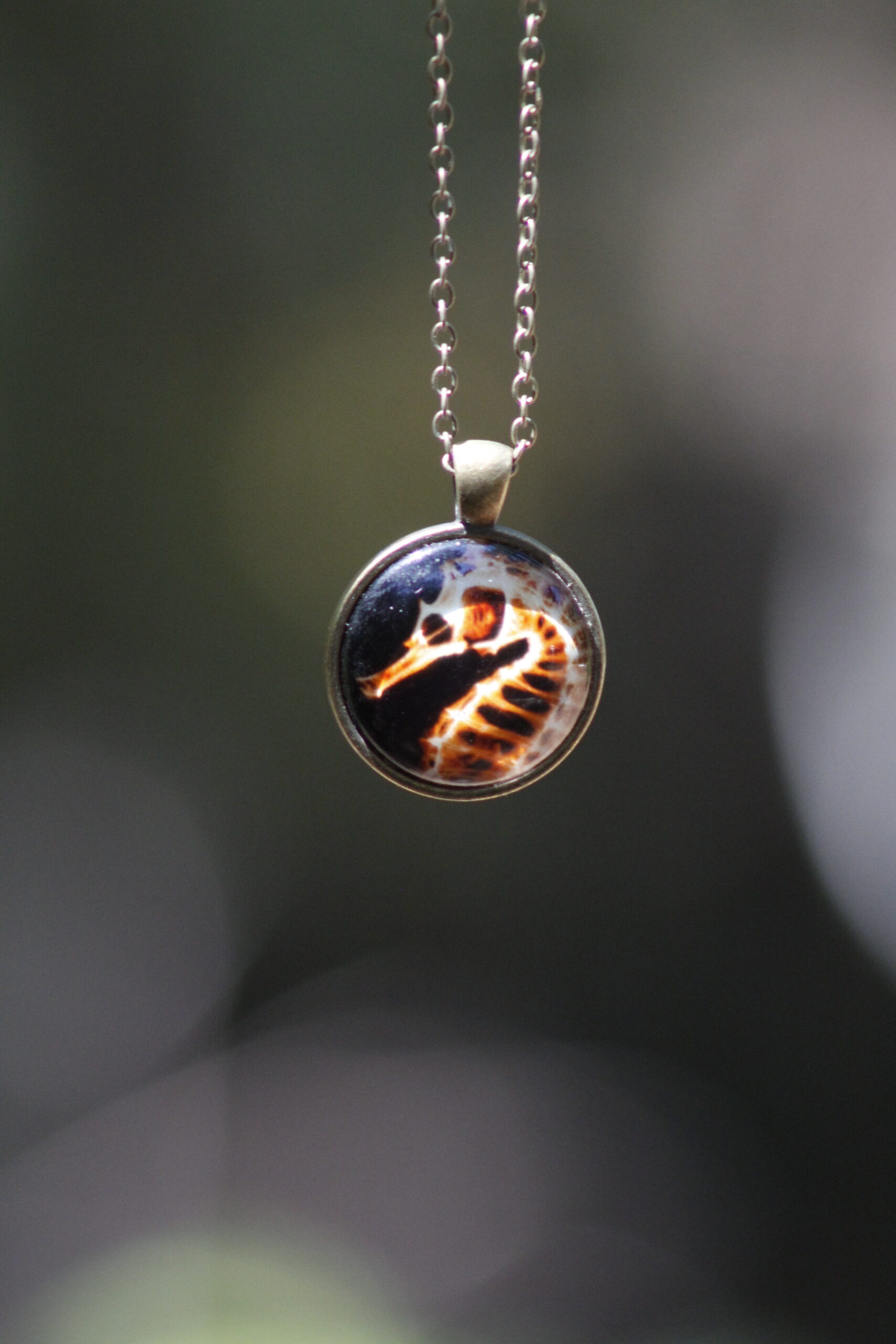 Seahorse x-ray pendant - Image 3