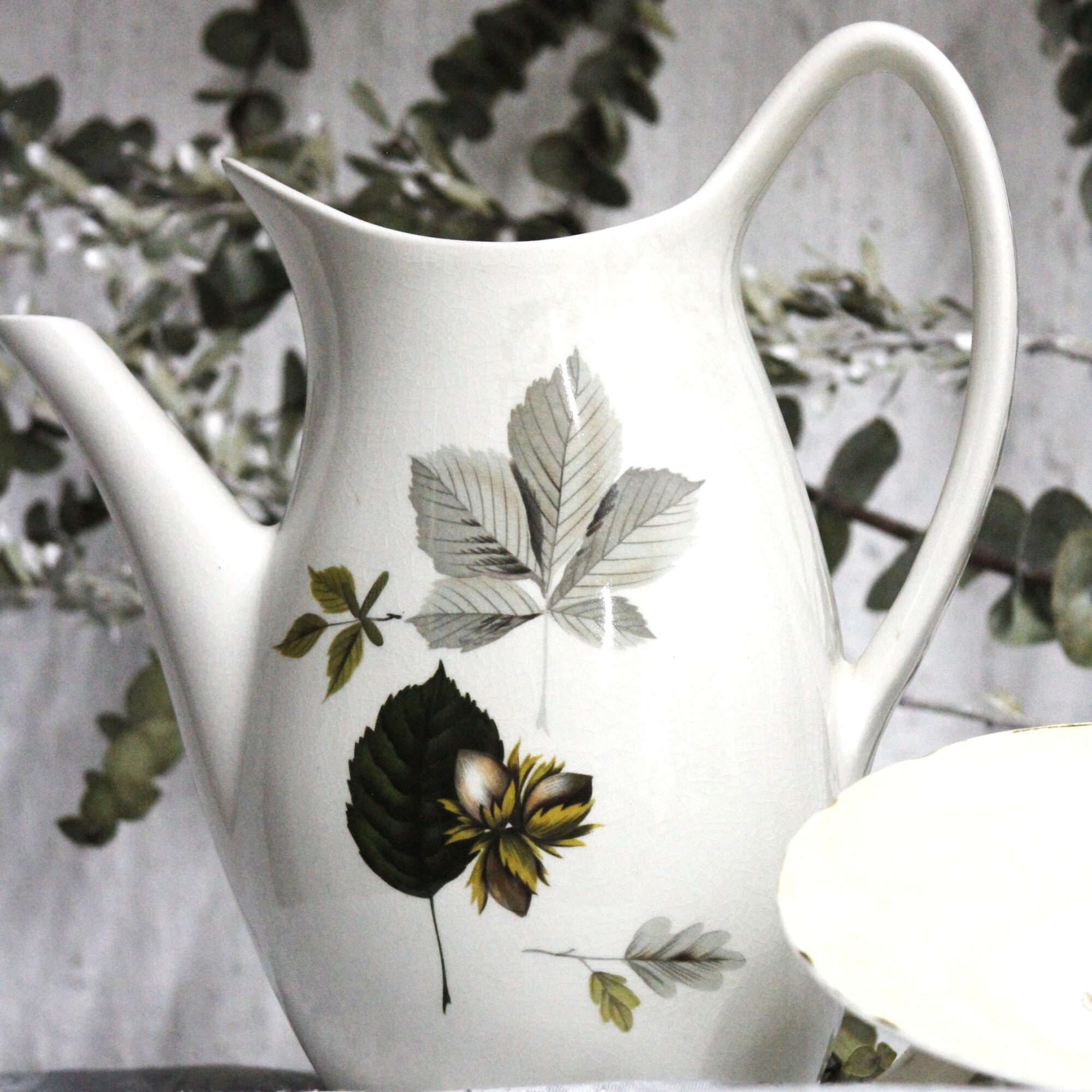 Nuts in May Pitcher